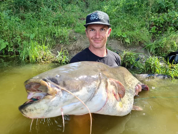 Tokius šamus vilioja "tylios medūzos"